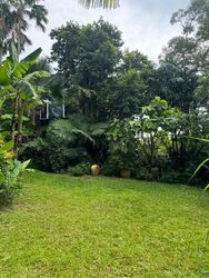 Cosford Road (D17), Detached #500636511